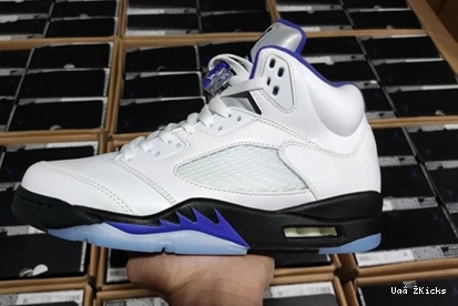 DD0587-141 CONCORD Air 587 Fashionable Jordan5 0905
